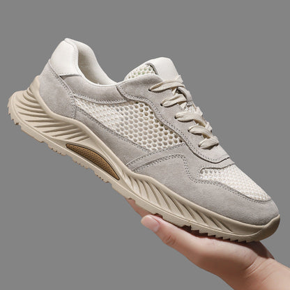 Ashen Engineered-Mesh Trainer