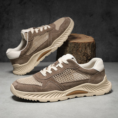 Ashen Engineered-Mesh Trainer