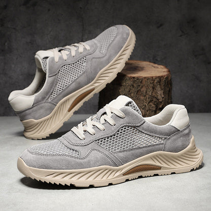 Ashen Engineered-Mesh Trainer