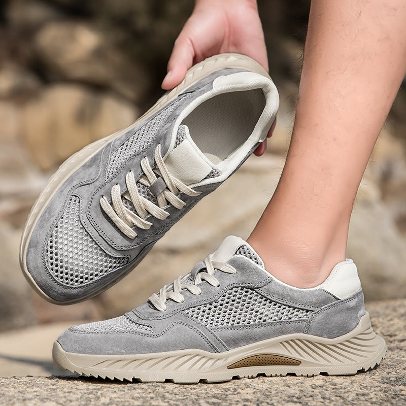 Ashen Engineered-Mesh Trainer
