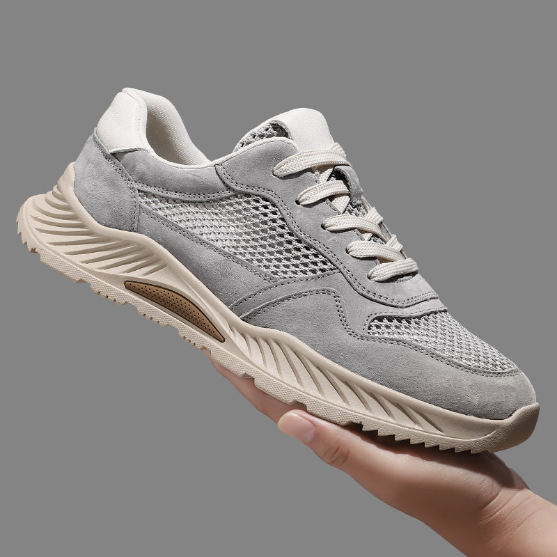 Ashen Engineered-Mesh Trainer