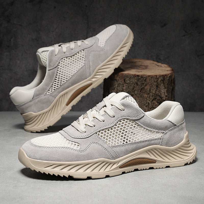 Ashen Engineered-Mesh Trainer