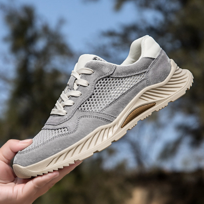Ashen Engineered-Mesh Trainer
