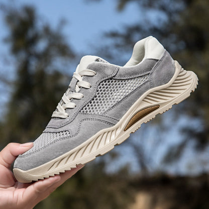 Ashen Engineered-Mesh Trainer